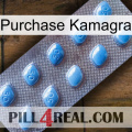 Purchase Kamagra viagra3